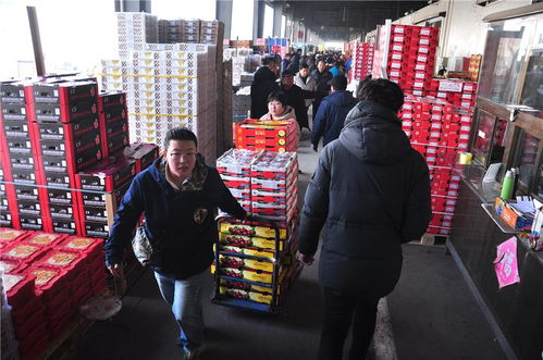 青島 春節(jié)水果市場火爆