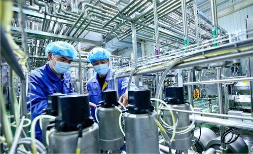 用新質生產力破解乳業(yè)困局 甘肅前進集團傳祁甘味乳業(yè)新型乳制品走俏市場