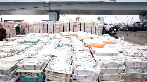 海鮮市場的 傲嬌 價(jià)格幫你問好了,看完別流口水