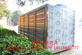 翱翔 放飛籠 訓(xùn)放籠 賽鴿集裝箱產(chǎn)品展示