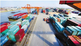 浙江日?qǐng)?bào) 集裝箱購(gòu)銷(xiāo)市場(chǎng)分析與未來(lái)展望