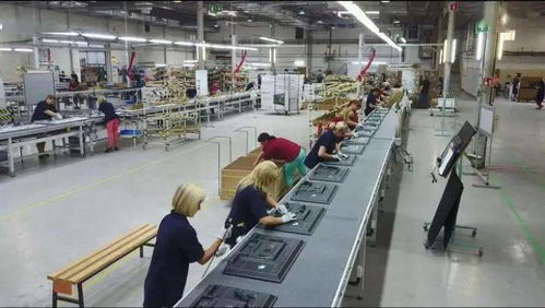 成都青白江 以開放產業為核心，推動集裝箱購銷高質量發展